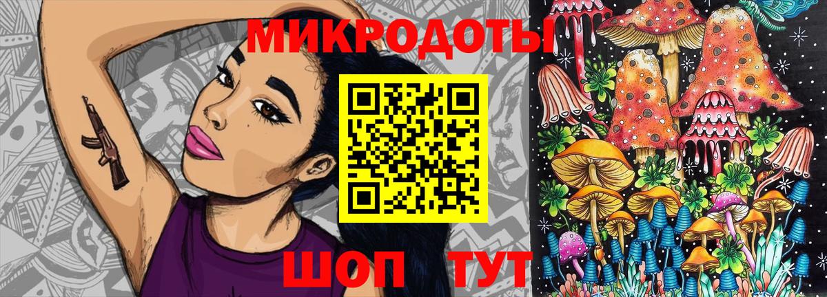 Псилоцибиновые грибы Psilocybine cubensis Биробиджан