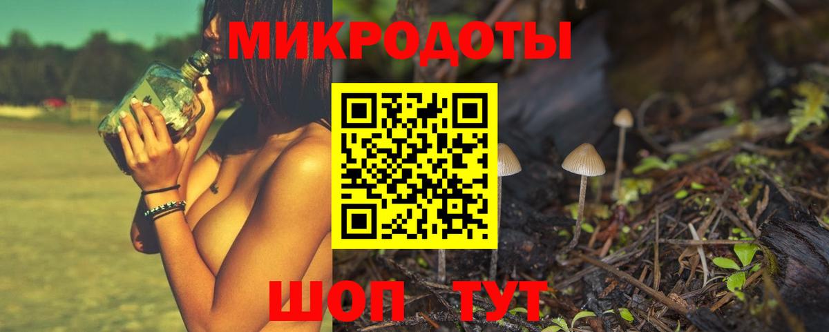 Псилоцибиновые грибы MAGIC MUSHROOMS  Вход с VPN  Биробиджан 